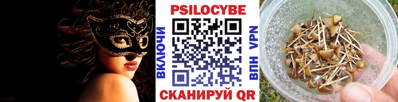 Псилоцибиновые грибы Cubensis Лобня